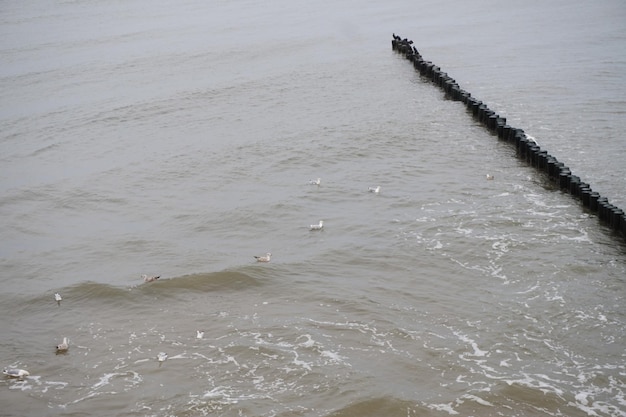 Golfbreker aan een kust