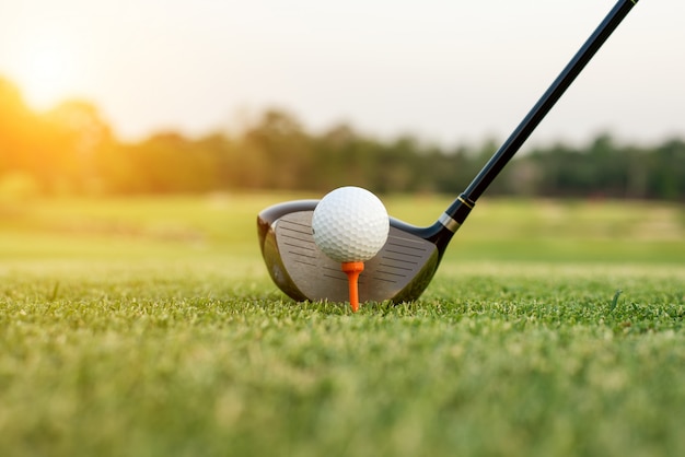 Foto golfclub en bal in gras met zonlicht. sluit omhoog bij golfclub en golfbal.