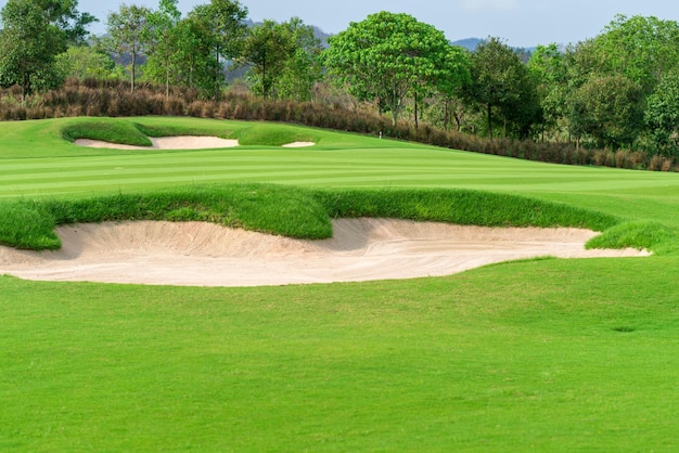 Photo golfcourse beautiful landscape of a golf court with trees and green grass