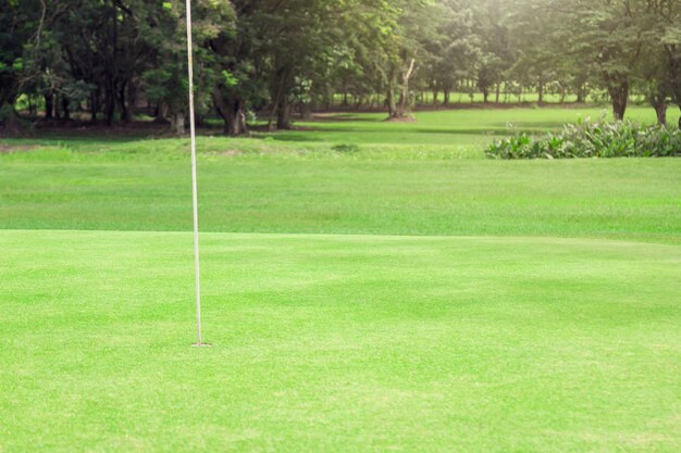 Foto golfcursus op het platteland met de boomachtergrond