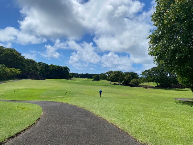 Golfer walks on course during a summer golf game