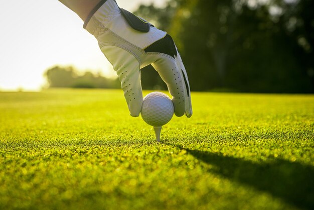 Golfer wearing glove placing golf ball on tee at golf course