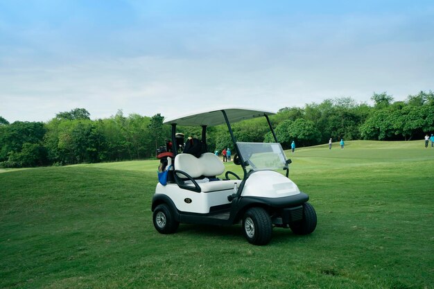 Golfkar op het veld