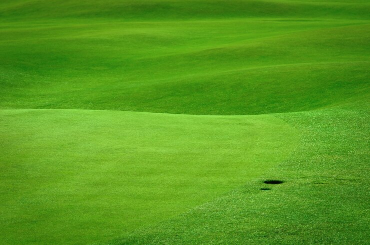 Golfveld met een balgat