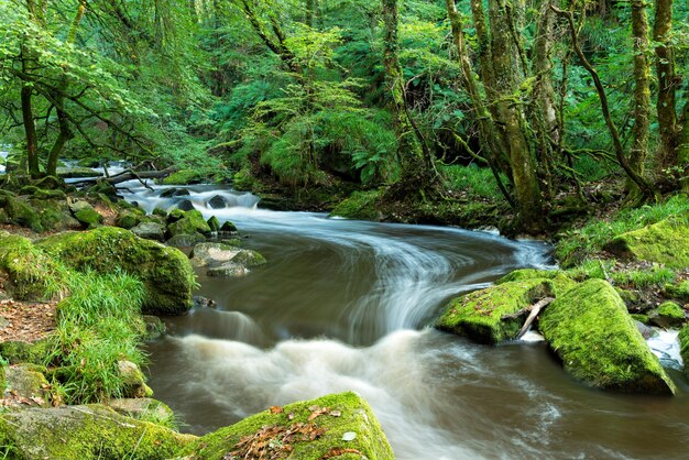 Golitha Falls in Cornwall