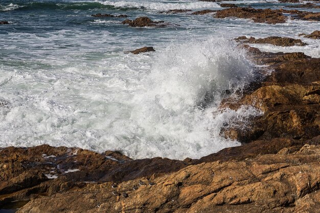 Golven die beuken over de Portugese kust