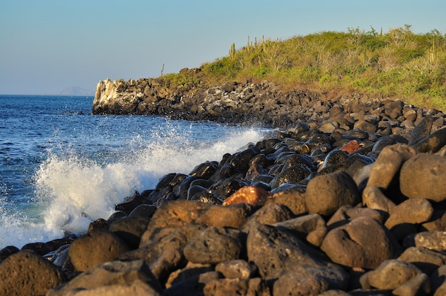 Golven op de rotsen in de galapagos