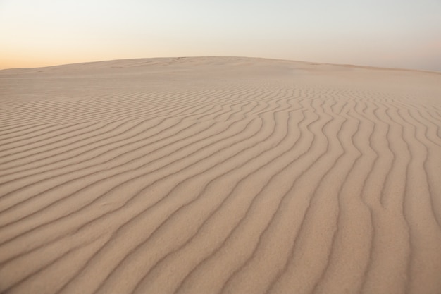 Golven van zand textuur, duinen van de woestijn.