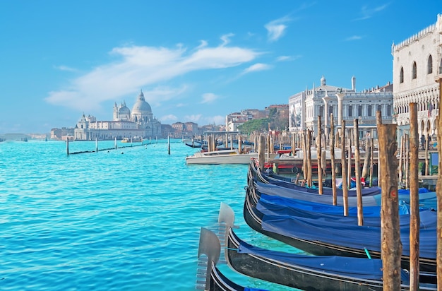 Gondolas by San Marco square in Venice Italy