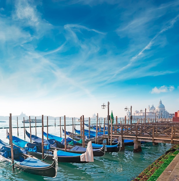 Gondolas moored in Venice Italy