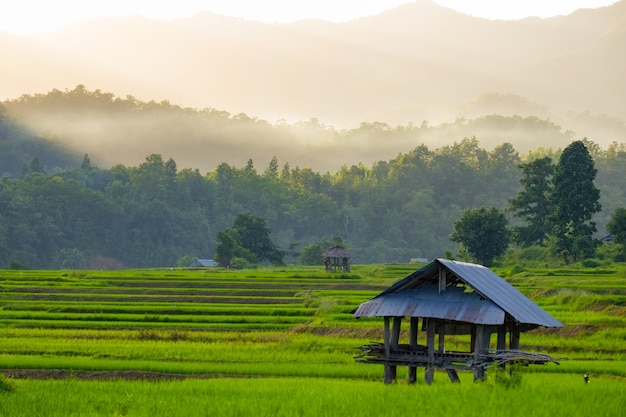 写真 山に霧が立ち込める日没時の小屋のある棚田の良い雰囲気