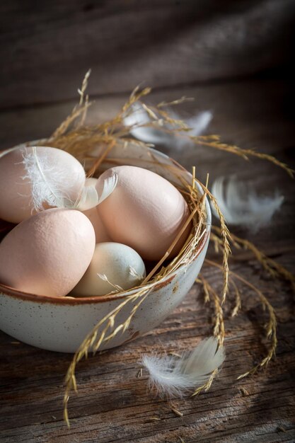 Хорошие и экологически чистые яйца из сельской местности