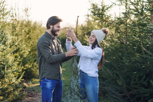 La giovane coppia sorridente elegante di bell'aspetto si lega con fili bellissimo albero di natale acquistato in un posto speciale