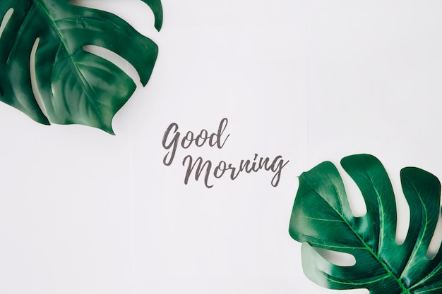 Good morning text on paper near the swiss cheese leaf against white background