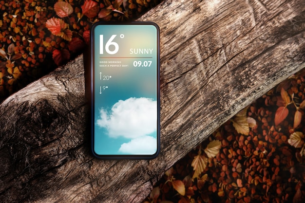 Bel tempo sulla giornata di sole in autunno e in autunno il concetto. telefono cellulare con informazioni meteorologiche.