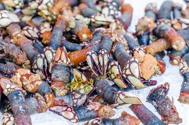 Foto barnacle d'oca in una bancarella di frutti di mare al mercato