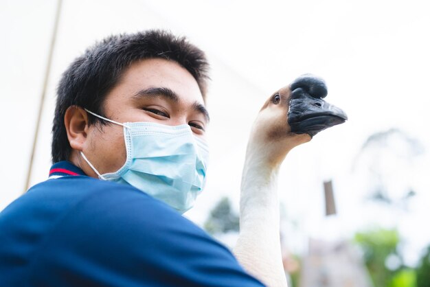 Goose farming, animal living in nature farm, white goose bird or big duck with feather