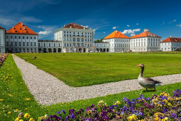 Photo goose in garden in front of the nymphenburg palace munich bavaria germany