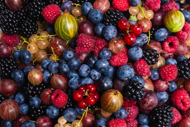 Gooseberries, blueberries, mulberry, raspberries, currants background