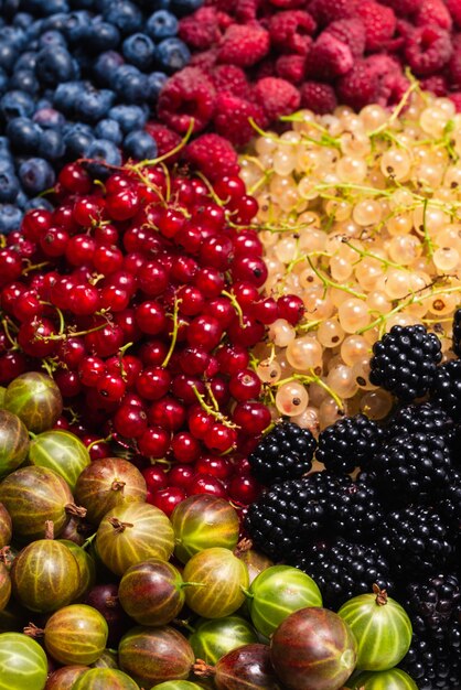 Foto sfondo di uva spina, mirtilli, gelso, lamponi, ribes bianco e rosso.