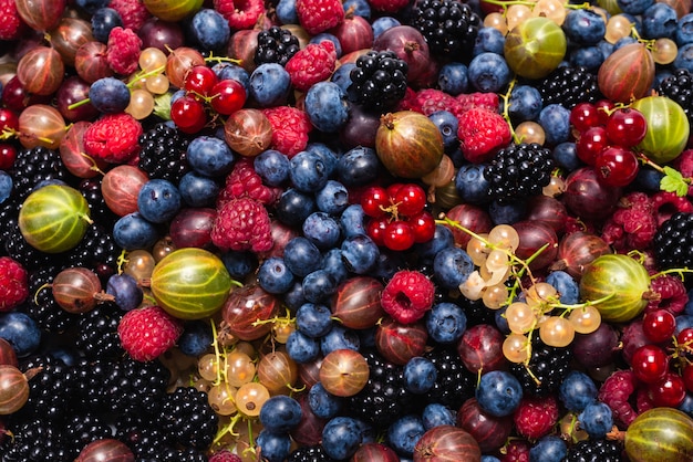 Gooseberries, blueberries, mulberry, raspberries, white and red currants.