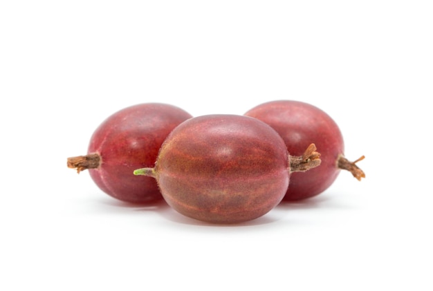 Gooseberries Fresh gooseberries isolated with clipping path