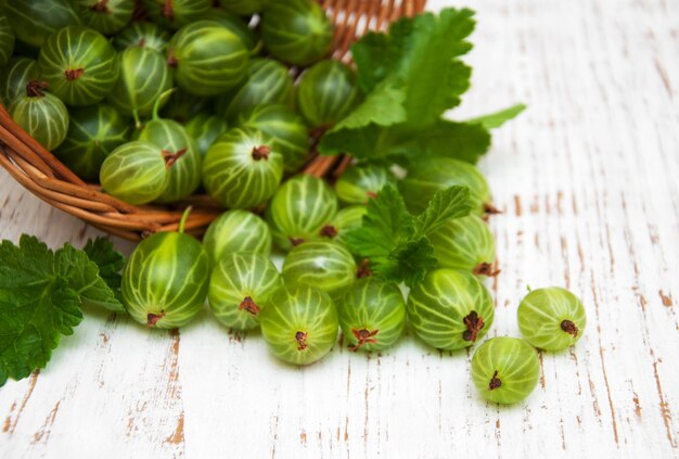 Gooseberries with leaves