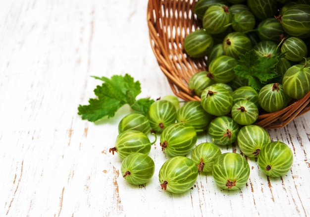 Gooseberries with leaves