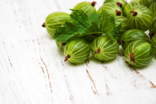 Gooseberries with leaves