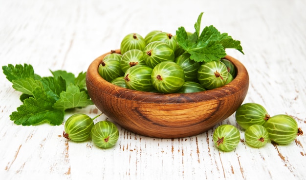 Gooseberries with leaves