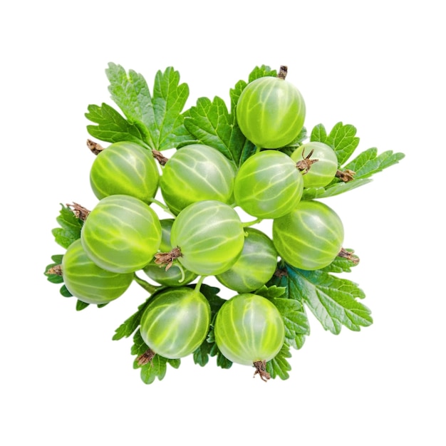 Photo gooseberry berries isolated on white background