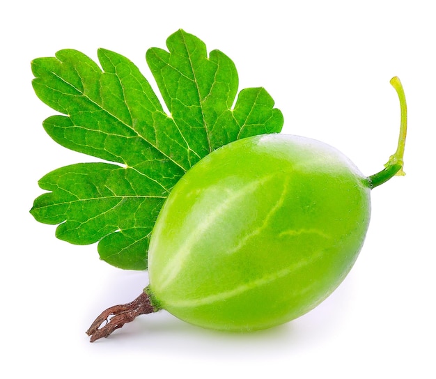 Gooseberry geïsoleerd op witte achtergrond
