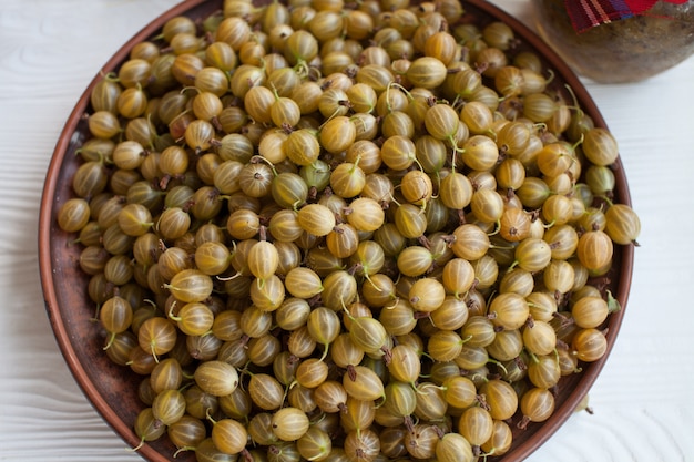 Gooseberry Harvest, een oogst van rijpe kruisbessen en kruisbessenbladeren.