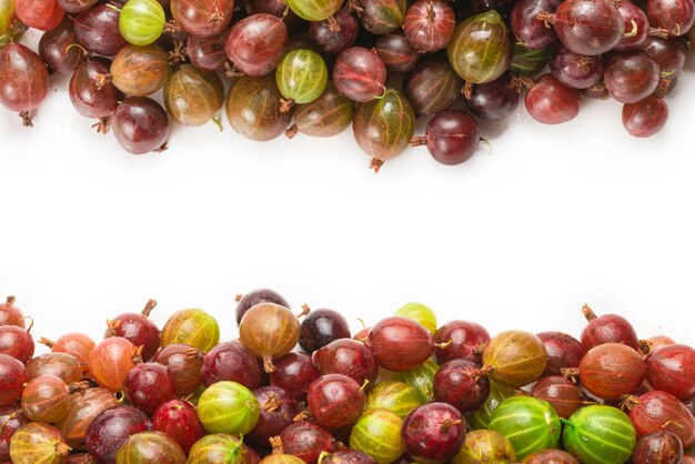 Gooseberry isolated on white background Top view