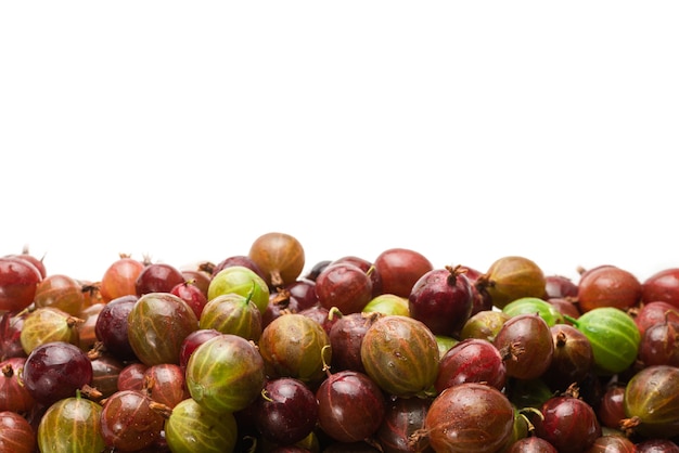 Gooseberry and mint isolated on white background. Top view.