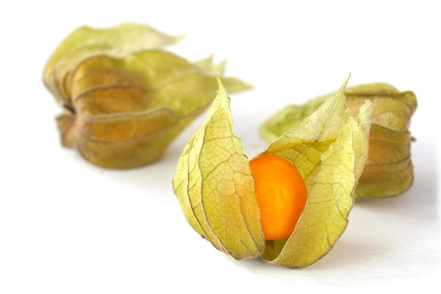 Foto gooseberry physalis op wit