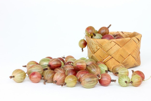 Gooseberry spilled out of the basket of birch bark on a white background