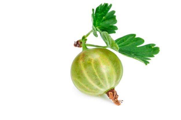 Gooseberry with leaf isolated on white background