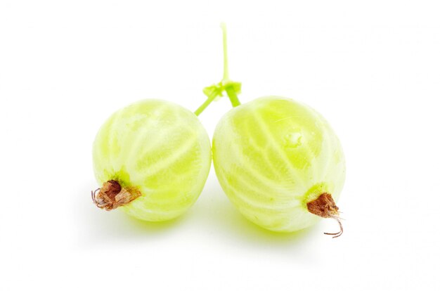 Gooseberry