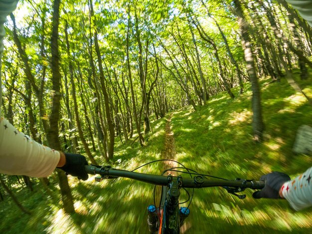 Foto gopro vista in prima persona in mountain bike su un sentiero nella foresta in autunno vipava slovenia