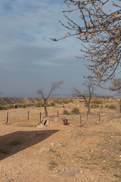 Photo gorafe desert and dolmens granada spain