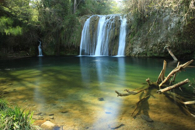 Gorg de la plana in de regio Garrotxa, Girona.