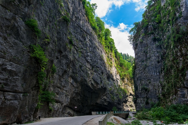 Ущелье в Абхазии