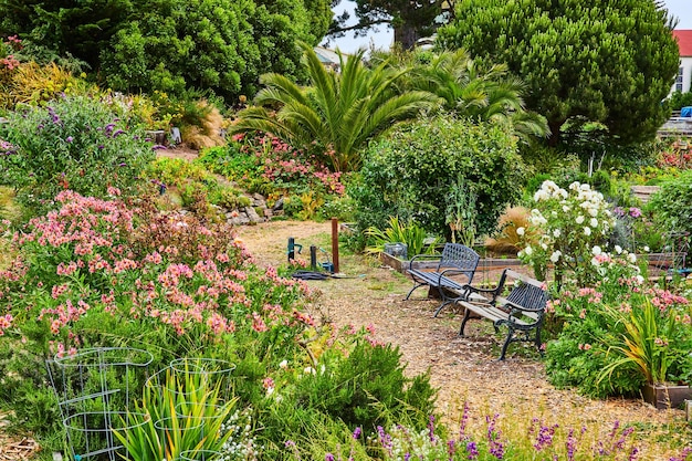 Splendido giardino di fiori con succulente e alberi con due panchine e sentiero di mulch