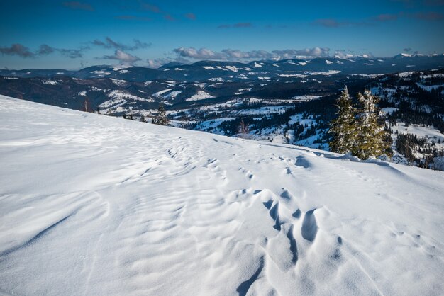 晴れた凍るような冬の日の青い空と白い雲を背景に、トウヒの森に覆われた山や丘の雪の斜面からのゴージャスな景色。スキーリゾートでのリラクゼーションの概念