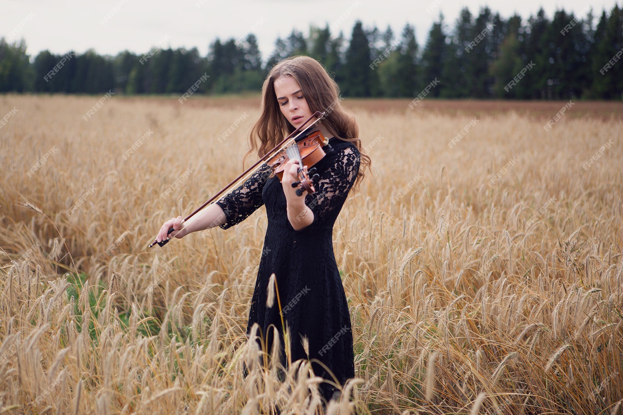 Premium Photo | A gorgeous violinist girl with windblown hair plays a tune  in a wheat field
