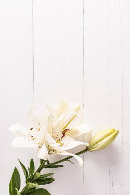 Gorgeous white lilies on a white wooden background made of boards Vertical top view space for text postcard poster invitation