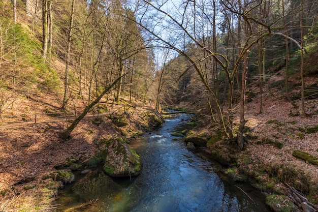 Gorges of Kamenice Bohemian Switzerland Czech Republic