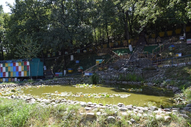 Gorny settlement Russia August 22 2018 Bee hives in a mountain apiary Painted stump