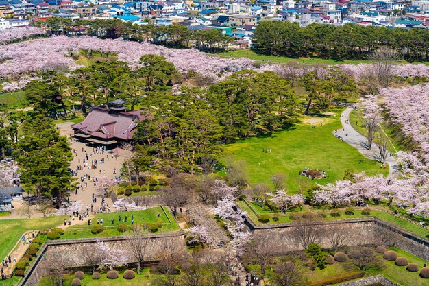 Goryokaku-park in het lenteseizoen van de kersenbloesem. Luchtmening Hakodate Hokkaido Japan